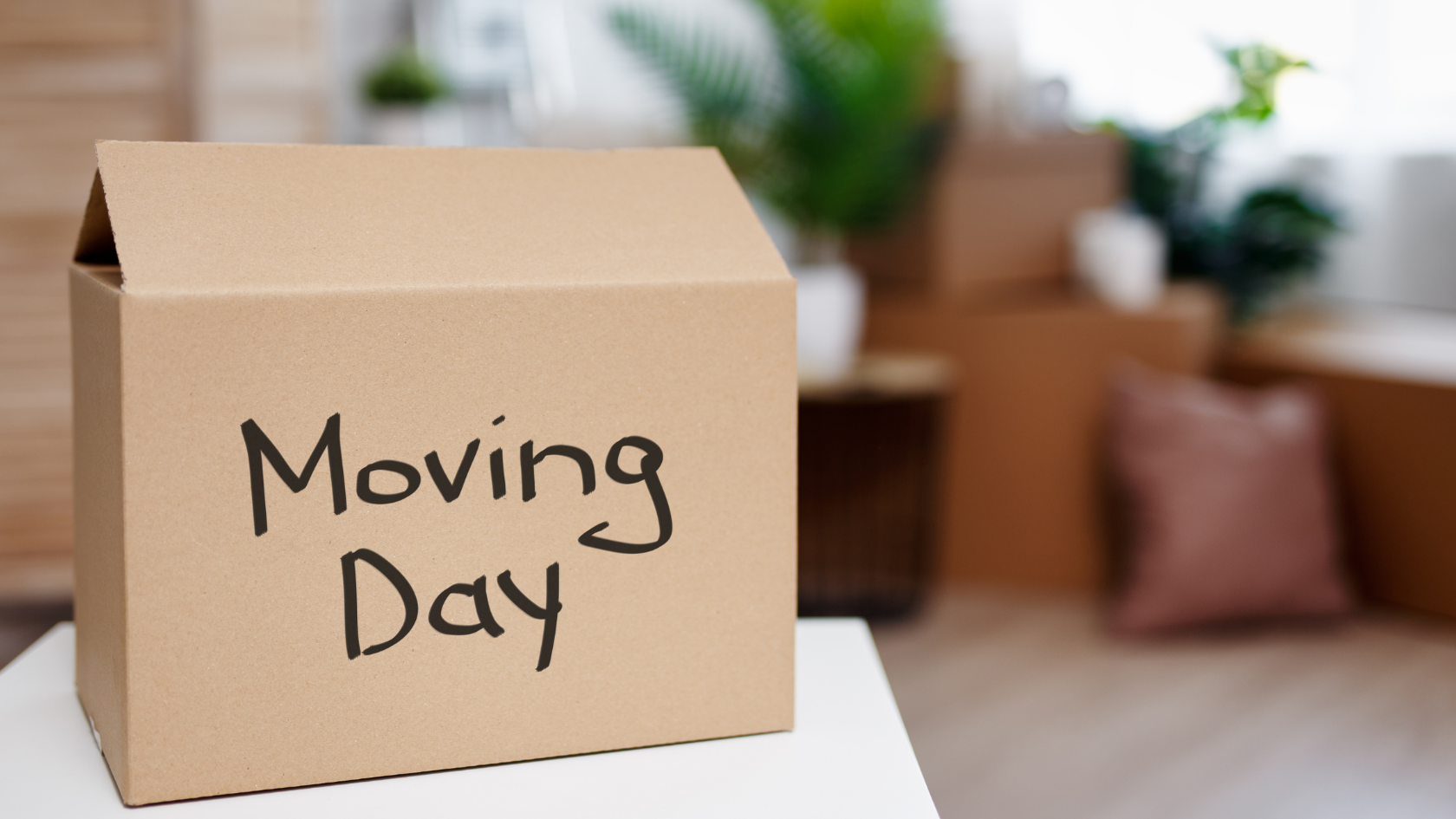 Moving tips for summer moves in ontario